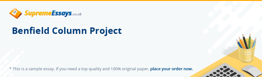 Benfield Column Project