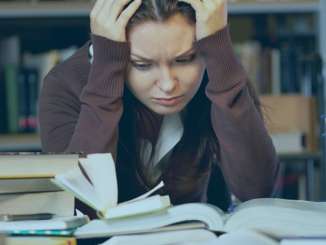 Creative Essays Deserving Your Attention