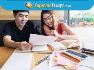 The Model Biography Essay